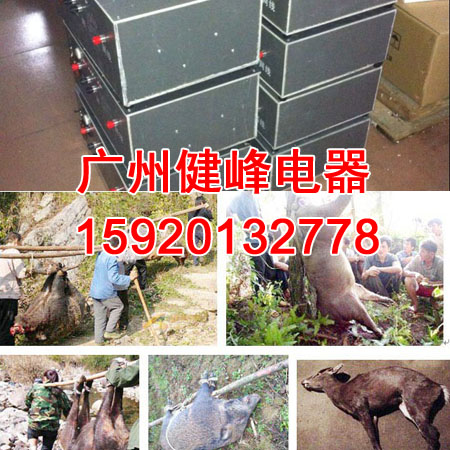 電捕野豬機廠家 電捕野豬機廠家