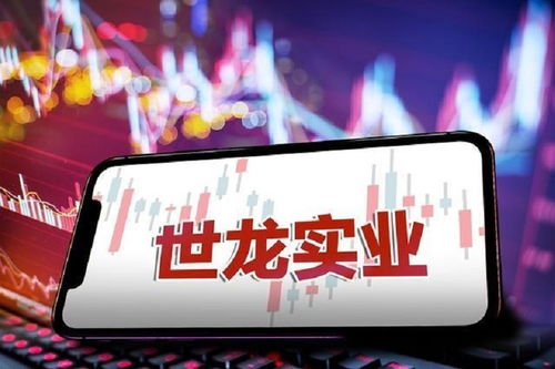 世龍實業(yè)股東數(shù)量連續(xù)下滑，公司遭立案調(diào)查面臨投資者索賠壓力